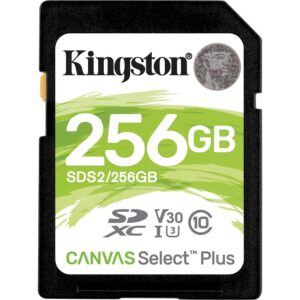 Kingston SDS2/256GB